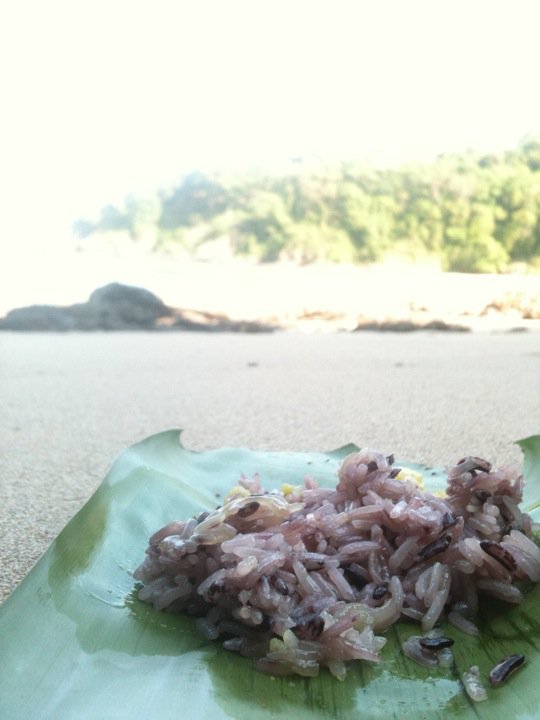 Delicious ant-free Thai breakfast rice on a beach on Koh Lanta. 